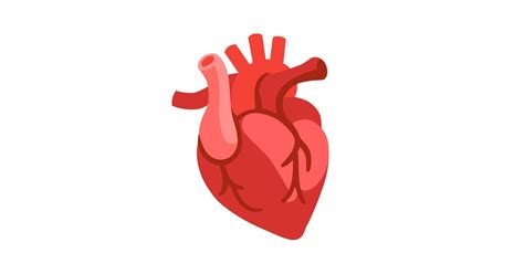 🫀 Corazón Humano Emoji En 100 Idiomas