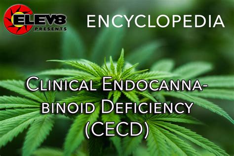 clinical endocannabinoid deficiency cecd elev8 presents