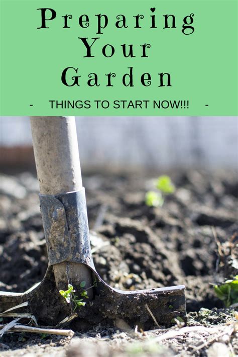 Getting Your Garden Ready For Spring Things To Start Now Southern