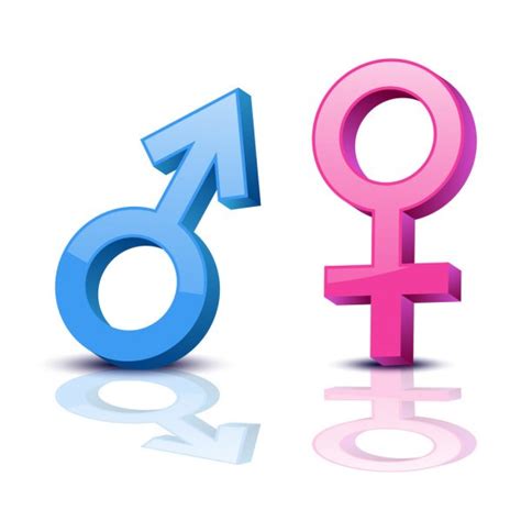 sex symbol gender man woman symbol male female abstract symbol stock vector image by