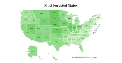 Most Forested States 2023 Wisevoter