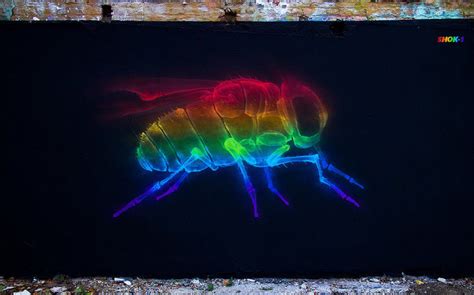 Rainbow Anatomy By Shok Oner Mundo Flaneur