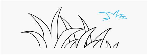 Vegetation Drawing Grassland Easy Way To Draw Grass Hd Png Download