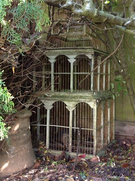 46 Lovely Bird Cage Ideas For Your Garden Bird Cage Decor Vintage