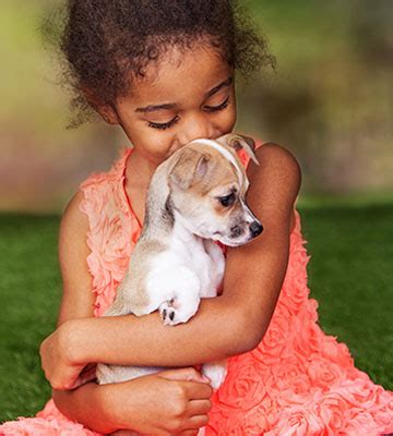 Veterinarians in Denver, CO  VCA Alameda East Veterinary Hospital