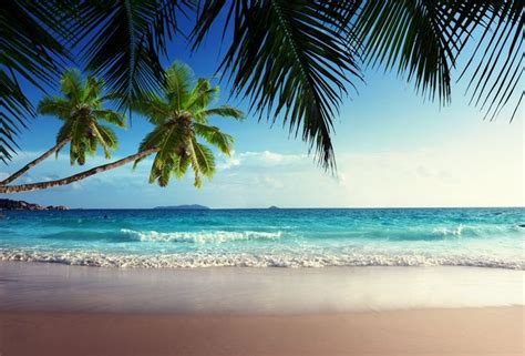 Tropical Paradise Sunshine Beach Coast Sea Sky Blue Emerald