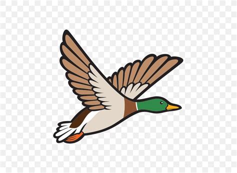 Mallard Duck Bird Clip Art Png 600x600px Mallard Beak Bird Duck