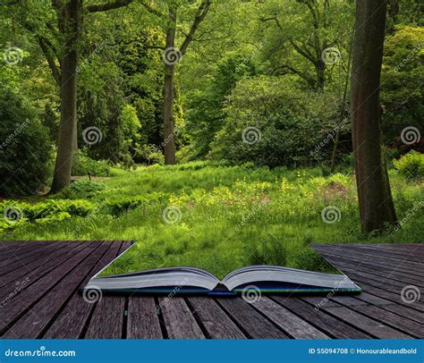 Landscape Image Of Beautiful Vibrant Lush Green Forest Woodland Stock