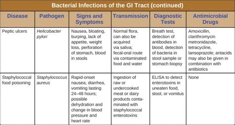 193 Bacterial Infections Of The Gastrointestinal Tract Allied Health