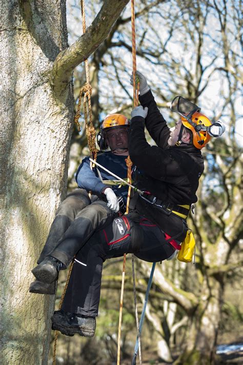 Lowe Maintenance Award In Tree Climbing And Rescue