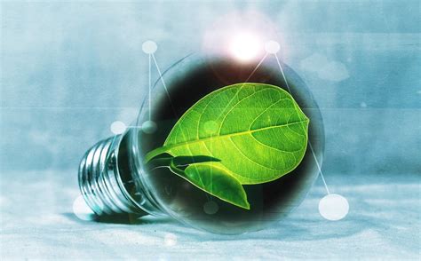 Bioenergy Roadmap To Grow Emerging Energy And Resources Knowledge Hub