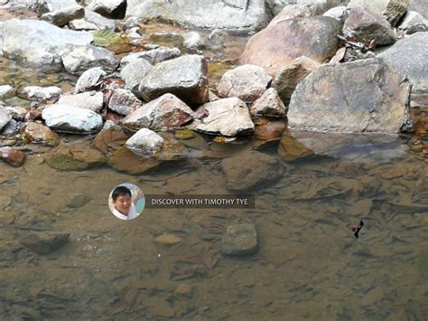 You can also stay at some home stays in gunung pulai area. Hutan Lipur Gunung Pulai Recreational Forest, Kulai ...