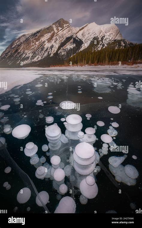 Trapped Frozen Methane Bubbles Within Ice Surface Spray Lake Canada