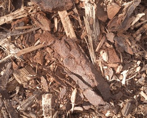 Grey, cracked into rectangular blocks. Multi Bark Mulch | Hurstbridge Garden Supplies