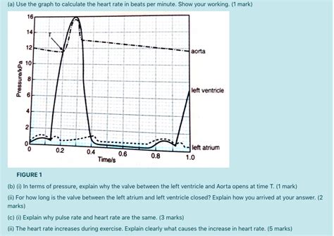 Solved A Use The Graph To Calculate The Heart Rate In