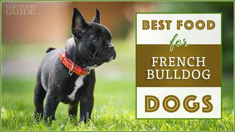 It means that a bowl should be made of durable material that can sustain high. 10 Best (Healthiest) Dog Foods for French Bulldogs in 2019