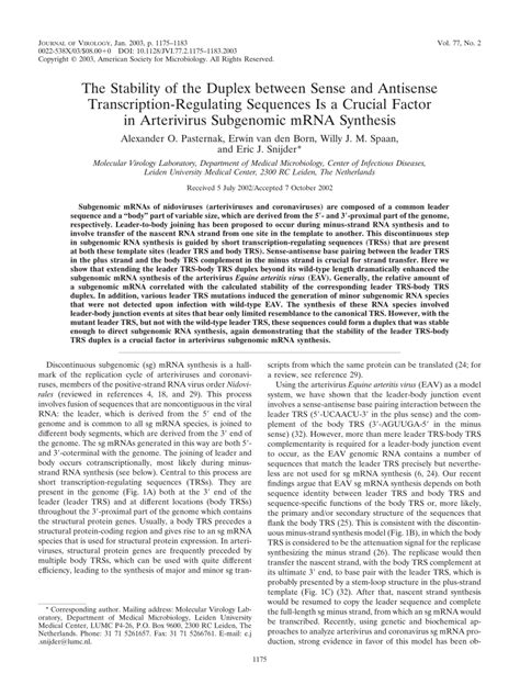 Pdf The Stability Of The Duplex Between Sense And Antisense