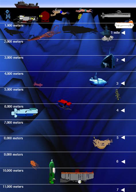 How Deep Is The Ocean In Meters Resume Themplate Ideas