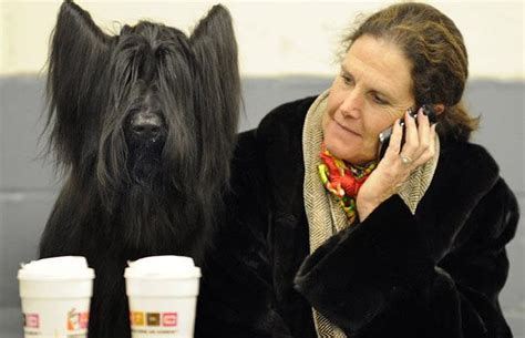 This was the year that a group of sporting gentlemen decided that this would be a good. The Westminster Kennel Club Dog Show at Madison Square Garden, New York