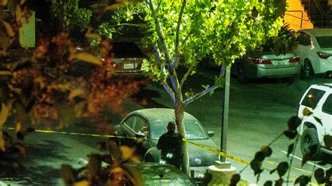 Witness Describes Scene Sacramento Police Shoot Stabbing Suspect