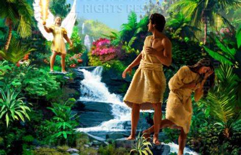 Medical Implications Of Biblical Stories Pt 1 Garden Of Eden Air