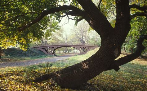 Gothic Bridge Central Park New York City New York Flickr