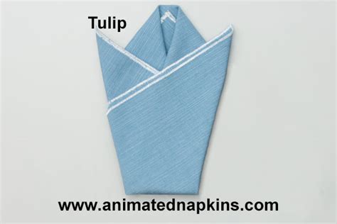 Top 150 Animated Napkin Folding
