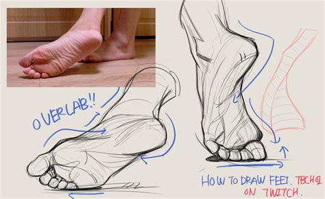 Tb Choi в Твиттере N9it1yfjr9 Live Streaming For How To Draw Feet