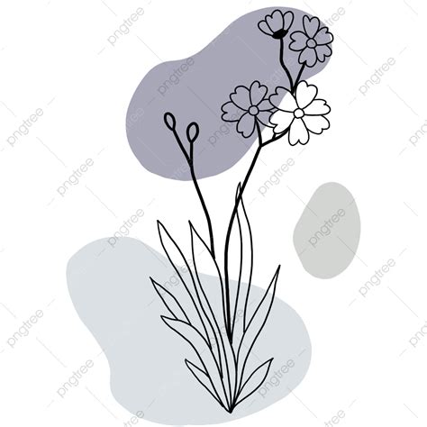 Aesthetic Line Art White Transparent Floral Abstract Line Art