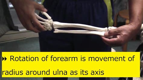 ⏩rotation Of Forearm Is Movement Of Radius Around Ulna As Its Axis