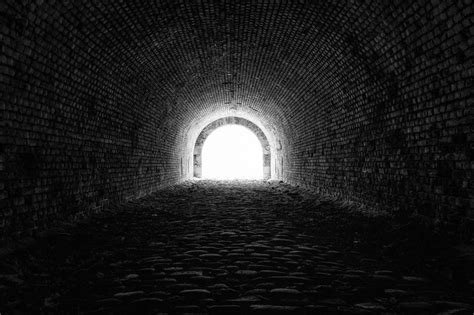 The Tunnel Of Fear Anne Brady Cronin