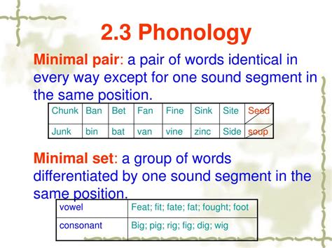 Ppt Chapter 2 Phonetics And Phonology Powerpoint Presentation Free