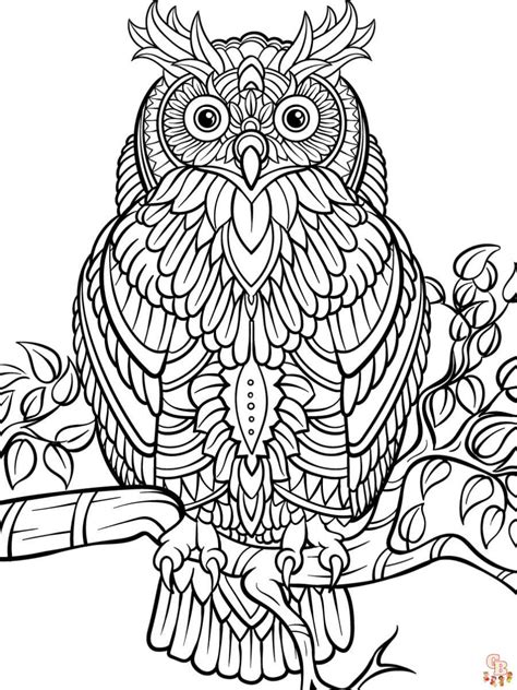 Printable Detailed Coloring Pages Free For Kids And Adults