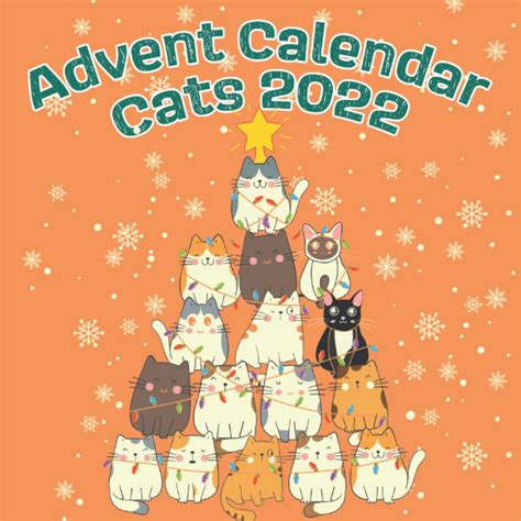 Advent Calendar Cats 2022 The Calendar 2022 With Fun Facts For Cat