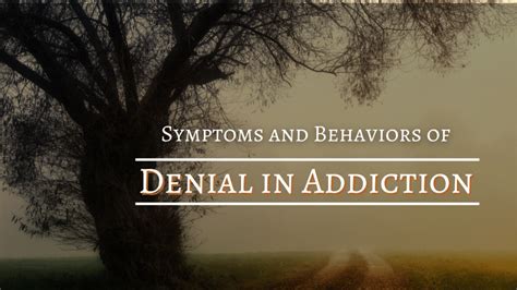Symptoms And Behaviors Of Denial In Addiction Whispering Oaks Lodge