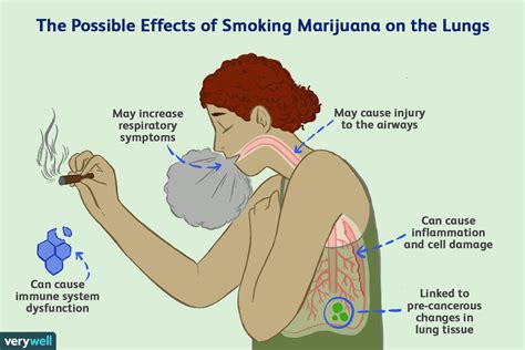 Verursacht Das Rauchen Von Marihuana Lungenkrebs Medde