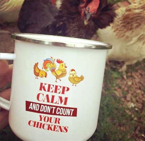 Keep Calm And Don´t Count Your Chickens