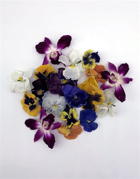 All of these flowers make pretty adornments for frosted cakes, sorbets, or any other. Freeze-Dried Edible Flowers in 2020 | Edible flowers ...