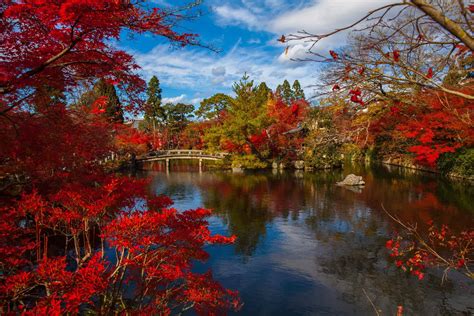 Top Places To See Autumn Leaves In Japan Travel Dudes