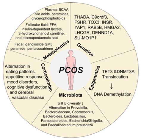 Jcm Free Full Text Polycystic Ovary Syndrome Challenges And