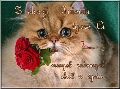 Życzenia urodzinowe oraz na inne okazje. Imieninowa