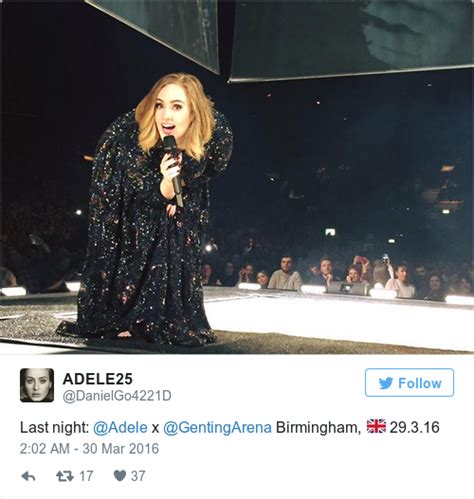 Adele Invited Her Doppelganger On Stage For A Selfie After The Crowd Demanded It