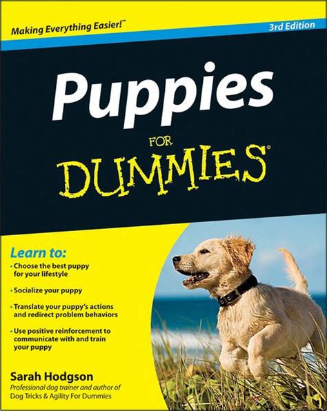 Jan 28, 2017 · puppies for dummies will give you the basics on how to raise and train your new puppy. Puppies For Dummies by Sarah Hodgson, Paperback | Barnes ...