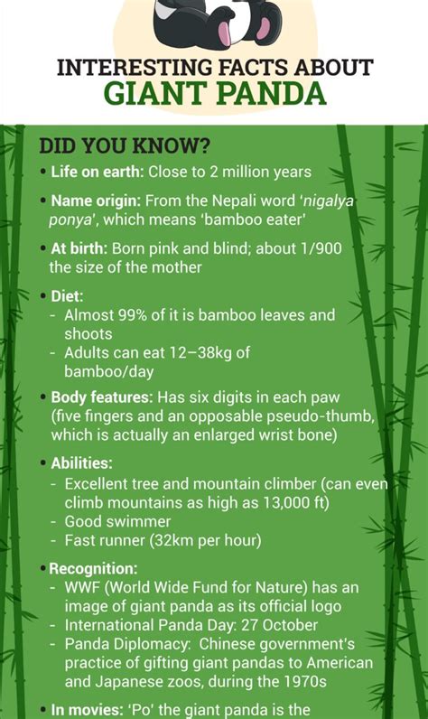 Facts About Giant Pandas For Kids Panda For Kids Panda Facts Fun Facts
