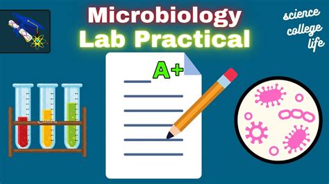 How To Study For Microbiology Lab Practical Test Youtube