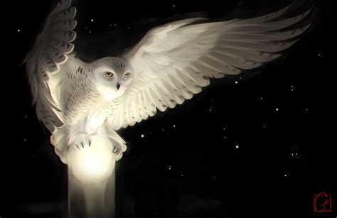 Owl And The Moon By Gaudibuendia On Deviantart