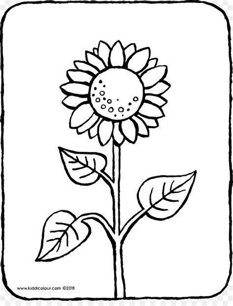 Detail Sketsa Gambar Mewarnai Bunga Matahari Koleksi Nomer 31