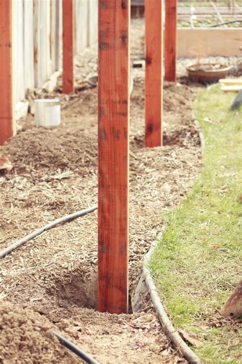 How To Build A Grape Arbor Step By Step