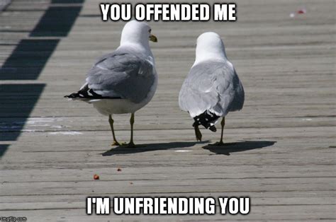 Offended Imgflip