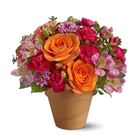 We did not find results for: Morning in Sorrento #TW426 - Florist Delivery in Chicago ...